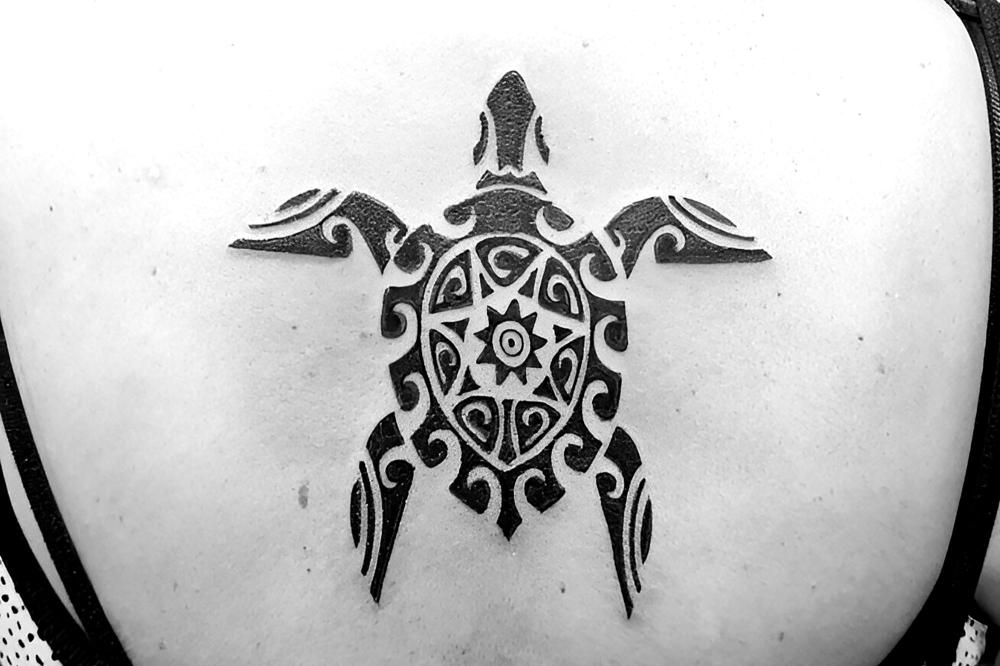 tortue maori